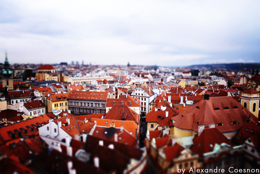 _TOM6689-tiltshift-1.jpg