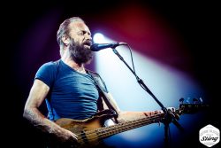 Sting