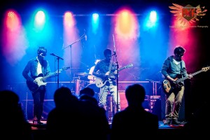 Backwoods Festival 2014 | STRANGE MILK – photographie Alexandre Coesnon