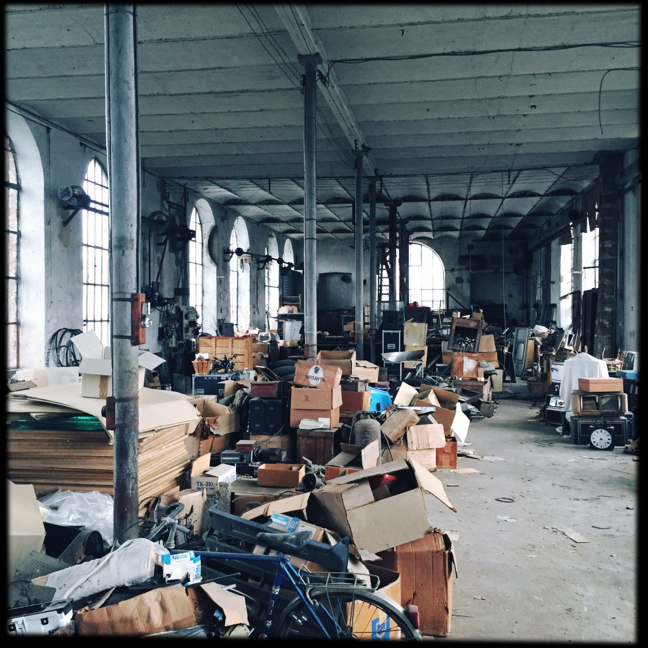 PGLI4301 – photographie Alexandre Coesnon