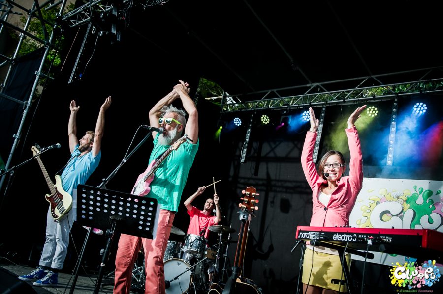 GLURPS - Rock o'Marais 2017 – photographie Alexandre Coesnon